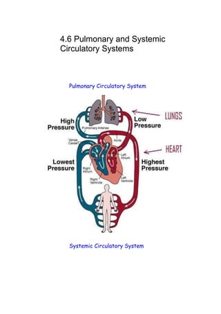 4.6 Pulmonary and Systemic 
Circulatory Systems



  Pulmonary Circulatory System




  Systemic Circulatory System
 