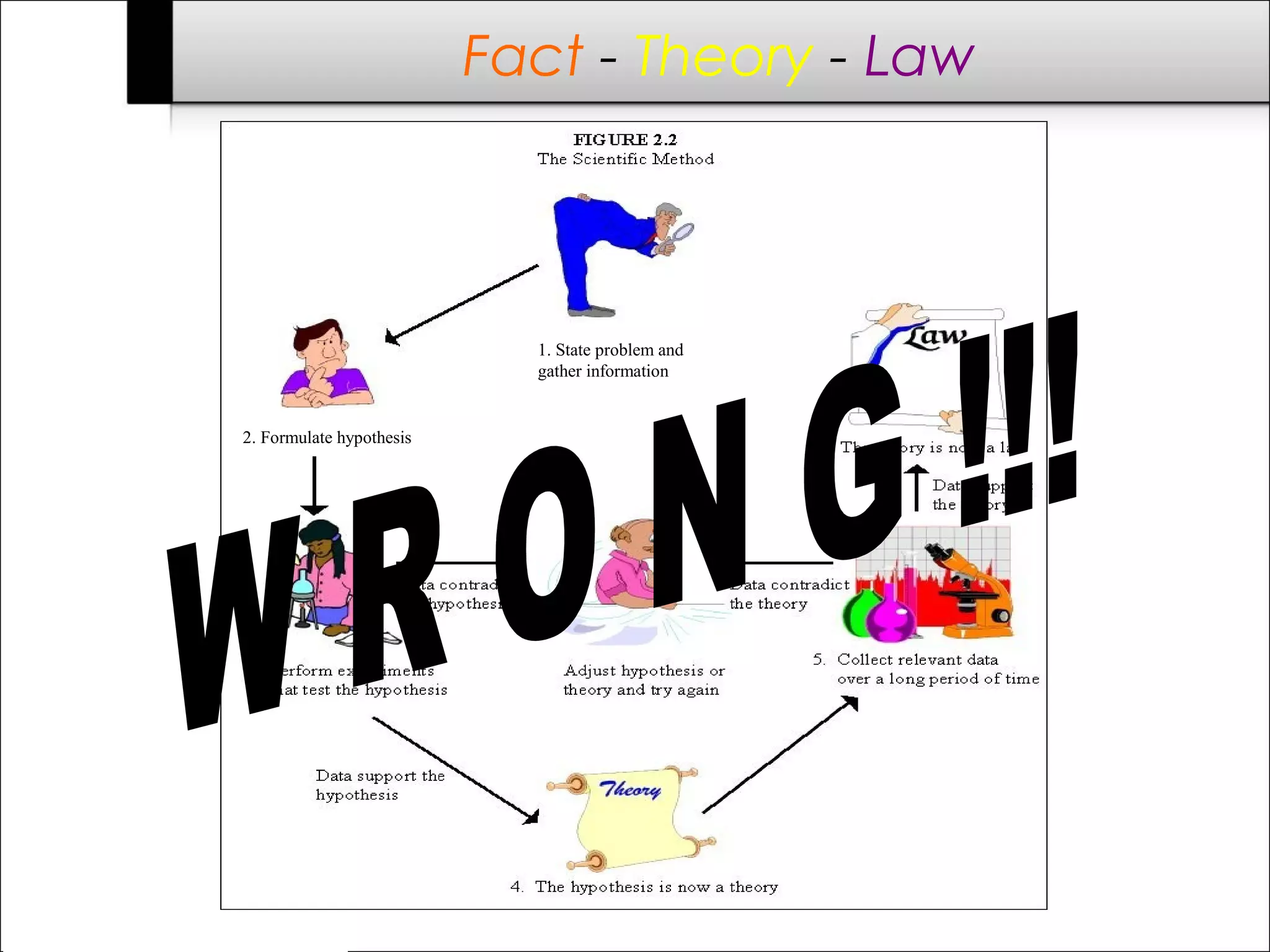 1. State problem and
gather information
2. Formulate hypothesis
Fact - Theory - Law
 