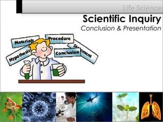 Science Background Conclusion Scientific Conclusion Images