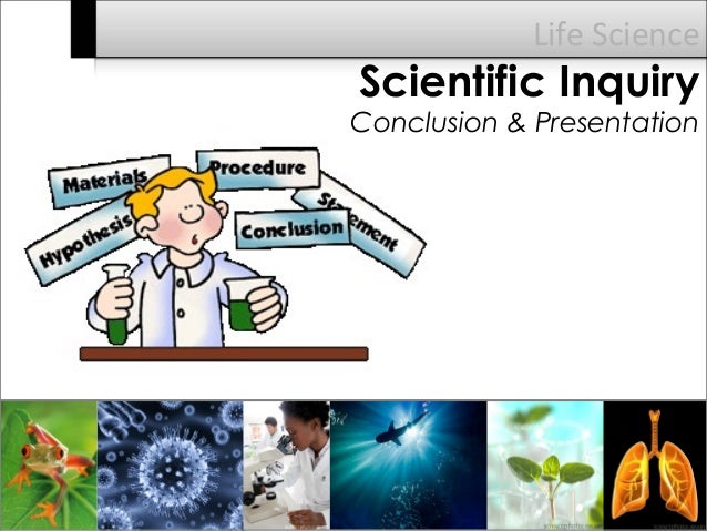 Science Inquiry Conclusion And Presentation Science Inquiry Conclusion And Presentation