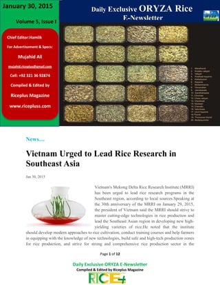 www.ricepluss.com
Page 1 of 12
Daily Exclusive ORYZA E-Newsletter
Compiled & Edited by Riceplus Magazine
News…
Vietnam Urged to Lead Rice Research in
Southeast Asia
Jan 30, 2015
Vietnam's Mekong Delta Rice Research Institute (MRRI)
has been urged to lead rice research programs in the
Southeast region, according to local sources.Speaking at
the 30th anniversary of the MRRI on January 29, 2015,
the president of Vietnam said the MRRI should strive to
master cutting-edge technologies in rice production and
lead the Southeast Asian region in developing new high-
yielding varieties of rice.He noted that the institute
should develop modern approaches to rice cultivation, conduct training courses and help farmers
in equipping with the knowledge of new technologies, build safe and high-tech production zones
for rice production, and strive for strong and comprehensive rice production sector in the
Chief Editor:Hamlik
For Advertisement & Specs:
Mujahid Ali
mujahid.riceplus@gmail.com
Cell: +92 321 36 92874
Compiled & Edited by
Riceplus Magazine
www.ricepluss.com
Volume 5, Issue I
January 30, 2015 Daily Exclusive ORYZA Rice
E-Newsletter
 
