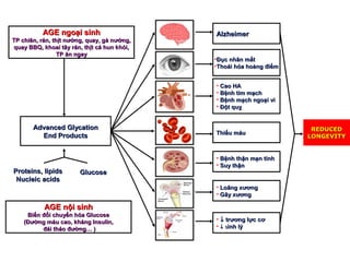 LOGO 
AA 
AAGGEE nnggooạạii ssiinnhh 
TTPP cchhiiêênn,, rráánn,, tthhịịtt nnưướớnngg,, qquuaayy,, ggàà nnưướớnngg,, 
qquuaayy BBBBQQ,, kkhhooaaii ttââyy rráánn,, tthhịịtt ccáá hhuunn kkhhóóii,, 
TTPP ăănn nnggaayy 
AAddvvaanncceedd GGllyyccaattiioonn 
EEnndd PPrroodduuccttss 
PPrrootteeiinnss,, lliippiiddss 
NNuucclleeiicc aacciiddss 
GGlluuccoossee 
AAGGEE nnộộii ssiinnhh 
BBiiếếnn đđổổii cchhuuyyểểnn hhóóaa GGlluuccoossee 
((ĐĐưườờnngg mmááuu ccaaoo,, kkhháánngg IInnssuulliinn,, 
đđááii tthhááoo đđưườờnngg…… )) 
AAllzzhheeiimmeerr 
•ĐĐụụcc nnhhâânn mmắắtt 
•TThhooááii hhóóaa hhooàànngg đđiiểểmm 
• CCaaoo HHAA 
• BBệệnnhh ttiimm mmạạcchh 
• BBệệnnhh mmạạcchh nnggooạạii vvii 
• ĐĐộộtt qquuỵỵ 
TThhiiếếuu mmááuu 
• BBệệnnhh tthhậậnn mmạạnn ttíínnhh 
• SSuuyy tthhậậnn 
• LLooããnngg xxưươơnngg 
• GGããyy xxưươơnngg 
• ¯ ttrrưươơnngg llựựcc ccơơ 
• ¯ ssiinnhh llýý 
RREEDDUUCCEEDD 
LLOONNGGEEVVIITTYY 
 