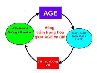 LOGO 
Vòng 
trầm trọng hóa 
giữa AGE và DM 
[AGE + RAGE] 
Tăng kháng 
Insulin 
Tăng phản ứng: 
AGE 
Đái tháo đường 
DM 
Đường + Proteine 
 