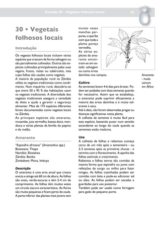 Comida 30 - Vegetais folhosos locais                             75




30 • Vegetais                                    muitas vezes
                                                 manchas púr-

folhosos locais                                  puras, o que faz
                                                 com que toda a
                                                 planta pareça
Introdução                                       vermelha.
                                                 As várias es-
Os vegetais folhosos locais incluem várias       pécies de ama-
espécies que crescem de forma selvagem ou        ranto encon-
são parcialmente cultivados. Outros são es-      tram-se em es-
pécies cultivadas principalmente pelas suas      tado selvagem
vagens, frutos, raízes ou tubérculos, mas        ou como ervas
cujas folhas são usadas como vegetais.           daninhas nos campos.                          Amaranto
A maioria da população rural na Zâmbia                                                         - muito
utiliza os vegetais tradicionais como condi-     Cultivo                                       comum
mento. Num inquérito rural, descobriu-se         As sementes levam 4-6 dias para brotar. Po-   em África
que entre 50 a 95 % das habitações usam          dem ser podadas com duas semanas quando
os vegetais tradicionais. A diversidade dos      for necessário. Assim que se estabeleça,
vegetais tradicionais assegura a variedade       o amaranto pode suprimir eficazmente a
da dieta e ajuda a garantir a segurança          maioria das ervas daninhas e é muito tol-
alimentar. Mais de 175 espécies diferentes       erante à seca.
foram documentadas como vegetais locais          Até à data, não foram observadas pragas ou
na Zâmbia.                                       doenças significativas nesta planta.
As principais espécies são amaranto,             A colheita da semente é muito fácil para
musambe, juta vermelha, batata doce, man-        esta espécie, bastando puxar num sentido
dioca e várias plantas da família do pepino      ascendente ao longo do caule quando as
e do melão.                                      sementes estão maduras.

Amaranto                                         Uso
                                                 A colheita de folhas e rebentos começa
“Espinafre africano” (Amaranthus spp.)           cerca de um mês após a sementeira - ou
Botswana: Thepe                                  2-3 semanas após as primeiras chuvas - e
Namíbia: Ekwakwa                                 termina com o florescimento. A apanha das
Zâmbia: Bonko                                    folhas estimula o crescimento.
Zimbabwe: Mova, Imbuya                           Rebentos e folhas tenras são comidas da
                                                 mesma forma que espinafre ou junto com
Descrição                                        refeições de sorgo ou milho para fazer
O amaranto é uma erva anual que cresce           mingau. As folhas cozinhadas podem ser
erecta e atinge até 60 cm de altura. As folhas   comidas com leite e pode-se adicionar sal
são ovais, verde-escuras e têm 2-4 cm de         ou óleo. As folhas podem ser secadas e
comprimento. As folhas têm muitas vezes          guardadas para uso posterior.
um círculo escuro característico. As flores      Também pode ser usado como forragem
são muito pequenas e ficam perto do caule.       para gado de pequeno porte.
A parte inferior das plantas mais jovens tem
 