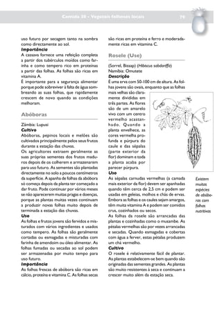 Comida 30 - Vegetais folhosos locais                             79



uso futuro por secagem tanto na sombra           são ricas em proteína e ferro e moderada-
como directamente ao sol.                        mente ricas em vitamina C.
Importância
A cassava fornece uma refeição completa          Rosele (Use)
a partir dos tubérculos moídos como far-
inha e como tempero rico em proteínas            (Sorrel, Bissap) (Hibiscus sabdariffa)
a partir das folhas. As folhas são ricas em      Namíbia: Omutete
vitamina A.                                      Descrição
É importante para a segurança alimentar          É uma erva com 50-100 cm de altura. As fol-
porque pode sobreviver à falta de água som-      has jovens são ovais, enquanto que as folhas
breando as suas folhas, que rapidamente          mais velhas são clara-
crescem de novo quando as condições              mente divididas em
melhoram.                                        três partes. As flores
                                                 são de um amarelo
Abóboras                                         vivo com um centro
                                                 vermelho acastan-
Zâmbia: Lupusi                                   hado. Quando a
Cultivo                                          planta envelhece, as
Abóboras, pepinos locais e melões são            cores vermelha pro-
cultivados principalmente pelos seus frutos      funda e púrpura do
durante a estação das chuvas.                    caule e das sépalas
Os agricultores extraem geralmente as            (parte exterior da
suas próprias sementes dos frutos madu-          flor) dominam e toda
ros depois de os colherem e armazenarem          a planta acaba por
para uso futuro. As sementes são plantadas       parecer púrpura.
directamente no solo a poucos centímetros        Uso
da superfície. A apanha de folhas da abóbora     As sépalas carnudas vermelhas (a camada        Existem
só começa depois da planta ter começado a        mais exterior da flor) devem ser apanhadas     muitas
dar fruto. Pode continuar por vários meses       quando têm cerca de 2,5 cm e podem ser         espécies
se não aparecerem muitas pragas e doenças,       usadas em geleias, molhos e chás de ervas.     de abóbo-
porque as plantas muitas vezes continuam         Embora as folhas e os caules sejam amargos,    ras com
a produzir novas folhas muito depois de          têm muita vitamina A e podem ser comidos       folhas
terminada a estação das chuvas.                  crus, cozinhados ou secos.                     nutritivas
Uso                                              As folhas da rosele são arrancadas das
As folhas e frutos jovens são fervidos e mis-    plantas e cozinhadas como o musambe. As
turados com vários ingredientes e usados         pétalas vermelhas são por vezes arrancadas
como tempero. As folhas são geralmente           e secadas. Quando esmagadas e cobertas
cortadas ou esmagadas e misturadas com           com água a ferver, estas pétalas produzem
farinha de amendoim ou óleo alimentar. As        um chá vermelho.
folhas fumadas ou secadas ao sol podem           Cultivo
ser armazenadas por muito tempo para             O rosele é relativamente fácil de plantar.
uso futuro.                                      As plantas estabelecem-se bem quando são
Importância                                      originadas das sementes grandes. As plantas
As folhas frescas de abóbora são ricas em        são muito resistentes à seca e continuam a
cálcio, proteína e vitamina C. As folhas secas   crescer muito além da estação seca.
 