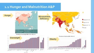 Overweight
Obesity
Micronutrient
Deficiency
Hunger
1.1 Hunger and Malnutrition A&P
 