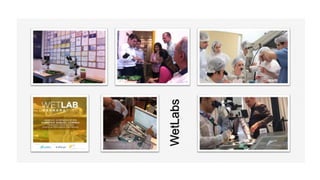 WetLabs
 