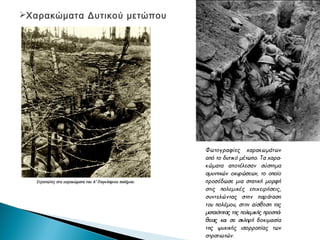 Χαρακώματα Δυτικού μετώπου
 