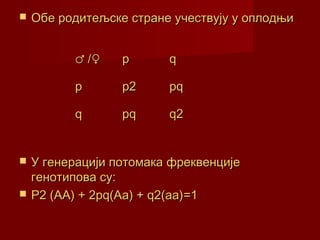    Обе родитељске стране учествују у оплодњи


          ♂ /♀    p      q

          p       p2     pq

          q       pq     q2


   У генерацији потомака фреквенције
    генотипова су:
   P2 (AA) + 2pq(Aa) + q2(aa)=1
 