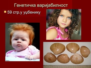 Генетичка варијабилност
 59 стр.у уџбенику
 
