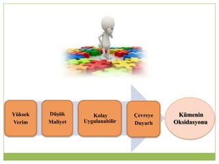 Yüksek
Verim
Düşük
Maliyet
Kolay
Uygulanabilir
Çevreye
Duyarlı
Kümenin
Oksidasyonu
PROSES SEÇĠMĠ
 
