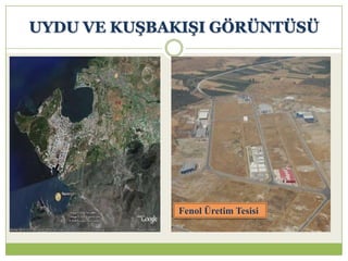 UYDU VE KUġBAKIġI GÖRÜNTÜSÜ
Fenol Üretim Tesisi
 