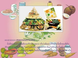 มหาสารอาหาร (macronutrients)
นั้นคือสารอาหารที่พืชต้องการในปริมาณมาก หรือว่าเป็นสารที่มีอยู่ในเนื้อเยื่อของพืชใน
ปริมาณมาก (0.2% ถึง 4% โดยน้าหนักแห้ง) จุลสารอาหาร คือสารที่มีอยู่ในเนื้อเยื่อของพืชใน
ปริมาณไม่มาก และวัดเป็นหน่วย ppm โดยมีปริมาณอยู่ในช่วงตั้งแต่ 5 ถึง 200 ppm หรือ
น้อยกว่า 0.02% โดยน้าหนักแห้ง
 