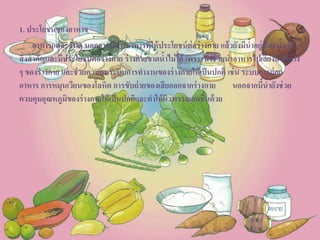 1. ประโยชน์ของอาหาร
อาหารแต่ละชนิด นอกจากมีสารอาหารที่ให้ประโยชน์ต่อร่างกาย แล้วยังมีน้าอยู่ด้วย น้าเป็น
สิ่งสาคัญและมีประโยชน์ต่อร่างกาย ร่างกายขาดน้าไม่ได้ เพราะน้าช่วยนาอาหารไปเลี้ยงส่วนต่าง
ๆ ของร่างกาย และช่วยควบคุมระบบการทางานของร่างกายให้เป็นปกติ เช่น ระบบการย่อย
อาหาร การหมุนเวียนของโลหิต การขับถ่ายของเสียออกจากร่างกาย นอกจากนี้น้ายังช่วย
ควบคุมอุณหภูมิของร่างกายให้เป็นปกติและทาให้ผิวพรรณสดชื่นด้วย
 