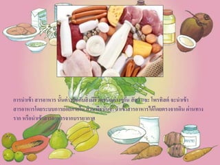 การนาเข้า สารอาหาร นั้นต่างกันกับสิ่งมีชีวิตชนิดต่างๆกัน สัตว์ และ โพรทิสต์ จะนาเข้า
สารอาหารโดยระบบการย่อยภายใน ส่วนพืชนั้นจะนาเข้าสารอาหารได้โดยตรงจากดิน ผ่านทาง
ราก หรือนาเข้าสารอาหารจากบรรยากาศ
 