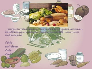 สารอาหารสาหรับสัตว์[แก้]สารอาหาร คือ อาหารที่กินเข้าไปแล้ว ถูกย่อยด้วยกระบวนการ
ย่อยจนได้โมเลกุลของอาหารที่เล็กลงจนร่างกายสามารถนาเอาไปใช้ได้ เราแบ่งสารอาหาร
ออกเป็น 6 กลุ่ม ดั้งนี้
1.โปรตีน
2.คาร์โบไฮเดรต
3.ไขมัน
4.วิตามิน
5.เกลือแร่
6.น้า
 