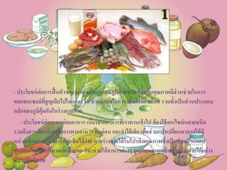 - ประโยชน์ต่อการฟื้นตัวของร่างกายและระบบภูมิต้านทาน โปรตีนคุณภาพมีส่วนช่วยในการ
ทดแทนเซลล์ที่สูญเสียไปในแต่ละวัน ช่วยลดกลไกการแข็งตัวของเลือด รวมทั้งเป็นส่วนประกอบ
หลักของภูมิคุ้มกันในร่างกายด้วย
- ประโยชน์ต่อระบบย่อยอาหาร เนื่องจากอาหารที่เราทานเข้าไป ต้องใช้เอนไซม์หลายชนิด
รวมถึงสารคัดหลั่งจากกระเพาะอาหาร ตับอ่อน และลาไส้เล็ก เพื่อช่วยแปรเปลี่ยนอาหารให้มี
หน่วยเล็กลงและสามารถดูดซึมได้ง่าย หากร่างกายได้รับโปรตีนคุณภาพซึ่งเป็นส่วนประกอบ
ของเอนไซม์ในปริมาณที่เพียงพอ ก็จะช่วยให้อาหารต่างๆ ถูกย่อยและดูดซึมเข้าสู่ร่างกายได้อย่าง
มีประสิทธิภาพ
 