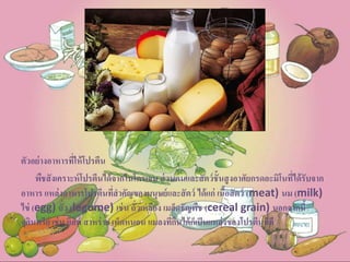 ตัวอย่างอาหารที่ให้โปรตีน
พืชสังเคราะห์โปรตีนได้จากไนโตรเจน ส่วนคนและสัตว์ชั้นสูงอาศัยกรดอะมิโนที่ได้รับจาก
อาหาร แหล่งอาหารโปรตีนที่สาคัญของมนุษย์และสัตว์ ได้แก่ เนื้อสัตว์ (meat) นม (milk)
ไข่ (egg) ถั่ว (legume) เช่น ถั่วเหลือง เมล็ดธัญพืช (cereal grain) นอกจากนี้
จุลินทรีย์ เช่น ยีสต์ สาหร่าย เห็ดหนอน แมลงที่กินได้ก็เป็นแหล่งของโปรตีนที่ดี
 