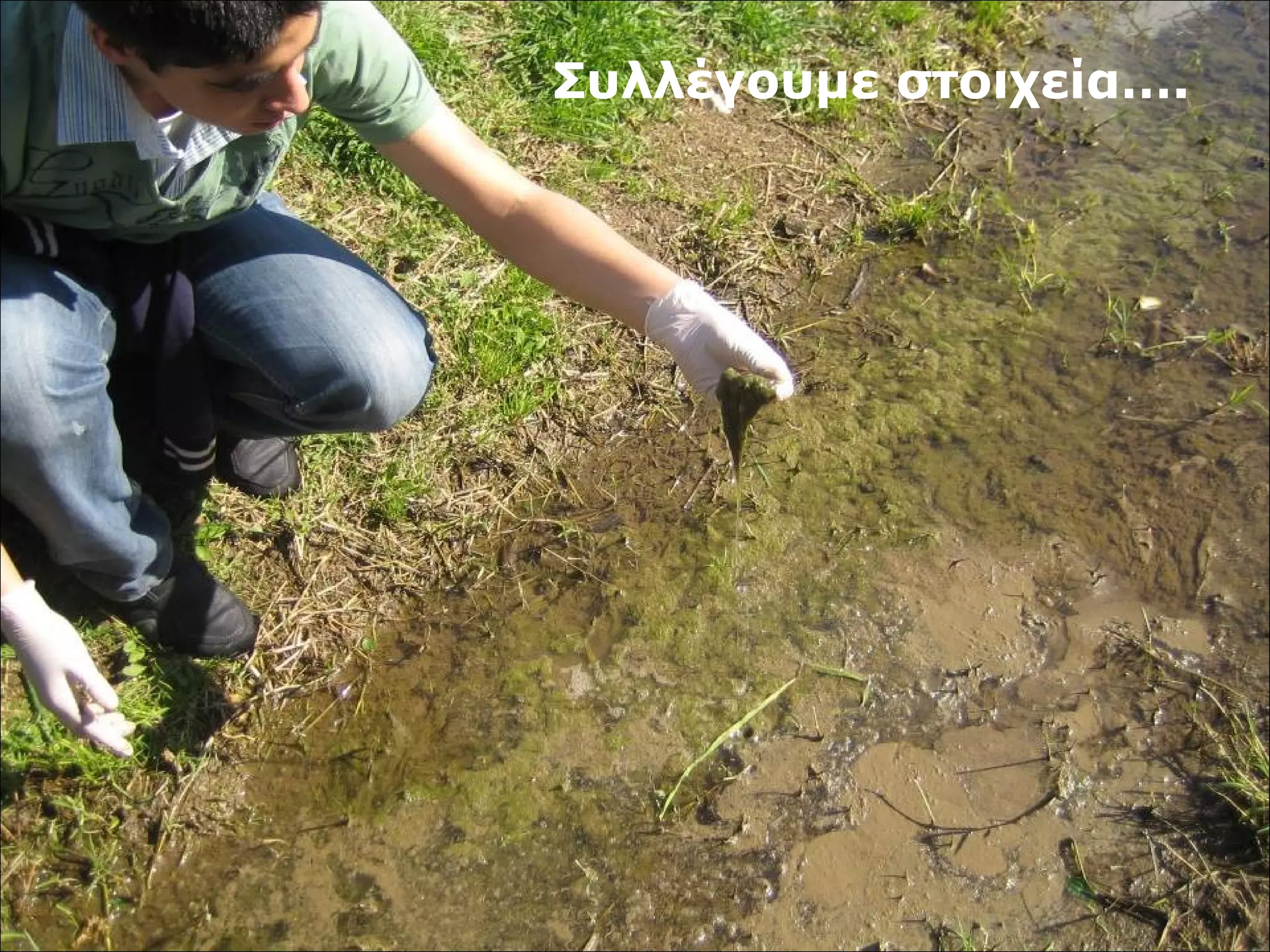 Συλλέγουμε στοιχεία…. 
 