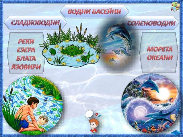31. Животът във водата - ЧП, 4 клас, Булвест