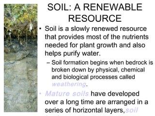 SOIL: A RENEWABLE
RESOURCE
• Soil is a slowly renewed resource
that provides most of the nutrients
needed for plant growth and also
helps purify water.
– Soil formation begins when bedrock is
broken down by physical, chemical
and biological processes called
weathering.
• Mature soils have developed
over a long time are arranged in a
series of horizontal layers,soil
 