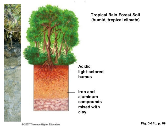 31 Soil Science By Allah Dad Khan
