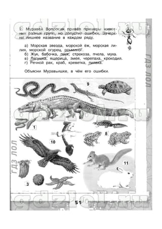 гдз окружающий мир 3 класс плешаков (рабочая тетрадь) ч1