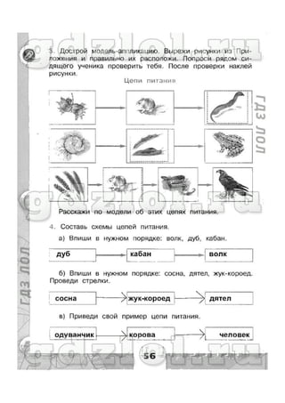гдз окружающий мир 3 класс плешаков (рабочая тетрадь) ч1
