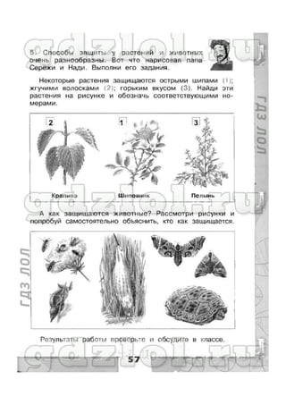 гдз окружающий мир 3 класс плешаков (рабочая тетрадь) ч1
