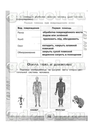 гдз окружающий мир 3 класс плешаков (рабочая тетрадь) ч1