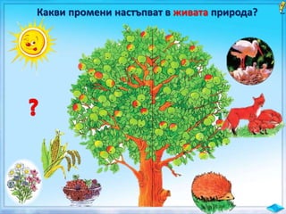 Какви промени настъпват в живата природа?
 