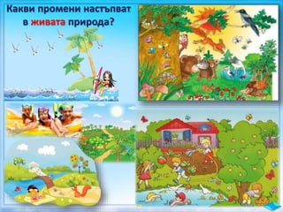 Какви промени настъпват
в живата природа?
 