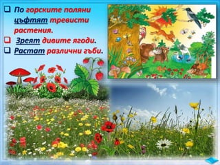  По горските поляни
цъфтят тревисти
растения.
 Зреят дивите ягоди.
 Растат различни гъби.
 