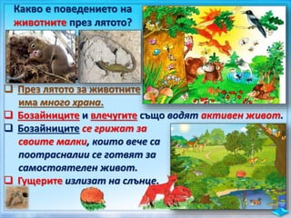 Какво е поведението на
животните през лятото?
 През лятото за животните
има много храна.
 Бозайниците и влечугите също водят активен живот.
 Бозайниците се грижат за
своите малки, които вече са
поотрасналии се готвят за
самостоятелен живот.
 Гущерите излизат на слънце.
 