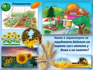 Разкажете:
Какво е характерно за
трудовата дейност на
хората през лятото у
дома и на полето?
 