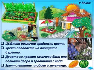  Цъфтят различни градински цветя.
 Зреят плодовете на овощните
дървета.
 Децата си правят слънчеви бани или
поливат двора и градината с вода.
 Зреят летните плодове и зеленчуци.
У дома:
 