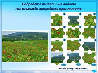 Подредете пъзела и ще видите
как изглежда природата през лятото.
1
Кликни върху синия номер.
2 3
4 5 6
7 8 9
10 11 12
 