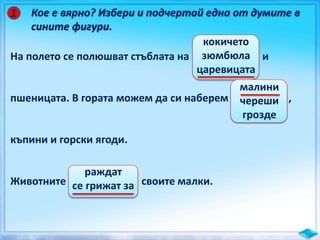Кое е вярно? Избери и подчертай една от думите в
сините фигури.
1
На полето се полюшват стъблата на и
пшеницата. В гората можем да си наберем ,
къпини и горски ягоди.
Животните своите малки.
кокичето
зюмбюла
царевицата
малини
череши
грозде
раждат
се грижат за
 