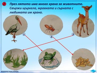 През лятото има много храна за животните.
Свържи щъркела, мравката и сърната с
любимата им храна.
2
Кликнете върху номера.
1
2
3
 