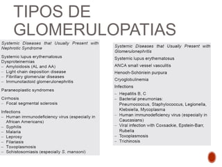 TIPOS DE
GLOMERULOPATIAS
 