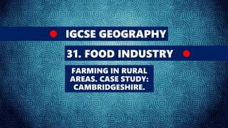 IGCSE GEOGRAPHY
31. FOOD INDUSTRY
FARMING IN RURAL
AREAS. CASE STUDY:
CAMBRIDGESHIRE.
 