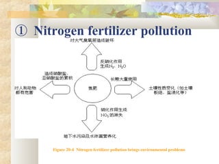 ① Nitrogen fertilizer pollution
Figure 20-4 Nitrogen fertilizer pollution brings environmental problems
 