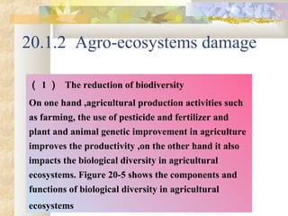 20.1.2 Agro-ecosystems damage
（ 1 ） The reduction of biodiversity
On one hand ,agricultural production activities such
as farming, the use of pesticide and fertilizer and
plant and animal genetic improvement in agriculture
improves the productivity ,on the other hand it also
impacts the biological diversity in agricultural
ecosystems. Figure 20-5 shows the components and
functions of biological diversity in agricultural
ecosystems
 