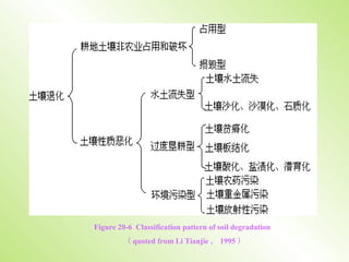 Figure 20-6 Classification pattern of soil degradation
（ quoted from Li Tianjie ， 1995 ）
 