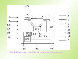   Figure 20-14 Input/output of material circular ecological agriculture system energy
 
