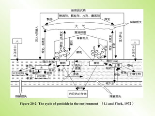 Figure 20-2 The cycle of pesticide in the environment （ Li and Fleck, 1972 ）
 