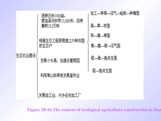 Figure 20-16 The content of ecological agriculture construction in Daz
 