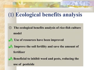 (1) Ecological benefits analysis
  ① The ecological benefits analysis of rice-fish culture 
model
  Use of resources have been improved
  Improve the soil fertility and save the amount of 
fertilizer
 Beneficial to inhibit weed and pests, reducing the 
use of  pesticide
 