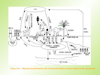 Figure 20-3 Migration transformation rule of chemical fertilizer nutrient element in the environment
 
