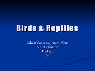 Birds & Reptiles Edwin Canseco, Janeth, Cruz Mr. Buchmann Biology 5* 